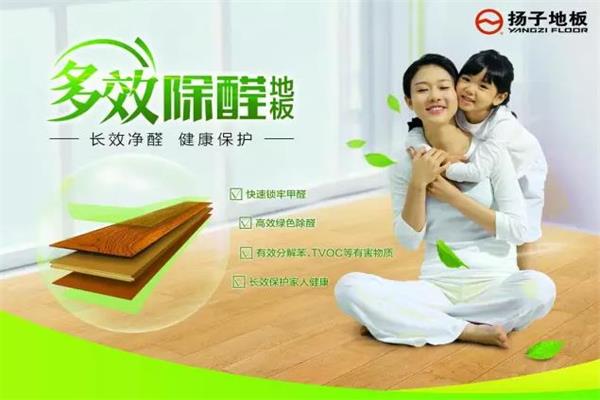 揚子地板榮獲多效除醛實木復合地板高新技術產品認證.jpg