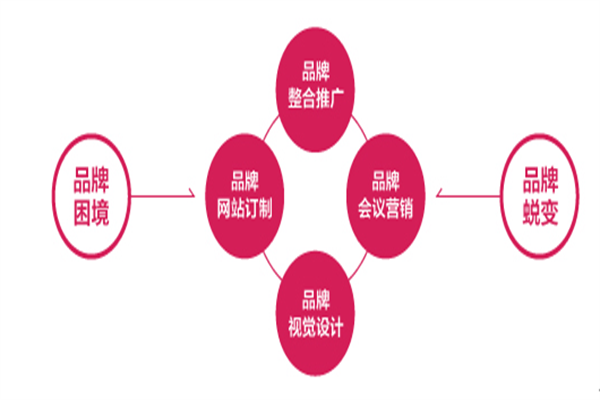 網絡“視頻營銷”—品牌營銷的新寵