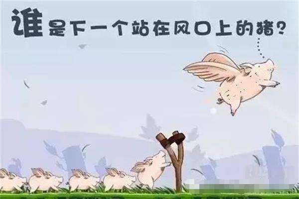 2016創(chuàng)業(yè)公司死亡名單