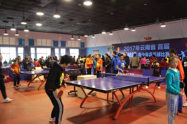 2017年云南省首屆“海比杯”青少年乒乓球比賽